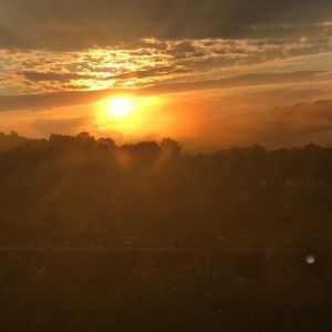 Meet your Posher, Samara